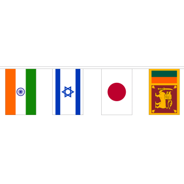 44 Asian Nations Rectangle Bunting