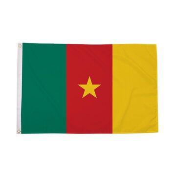 Cameroon Flag
