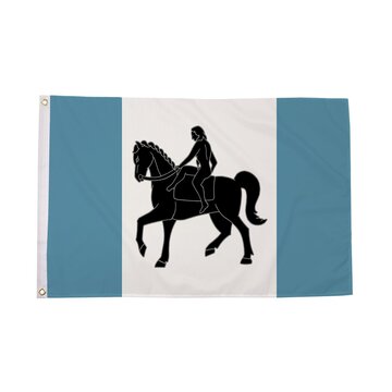 Coventry Flag