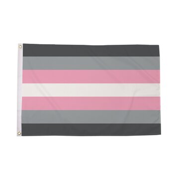 Demigirl Flag
