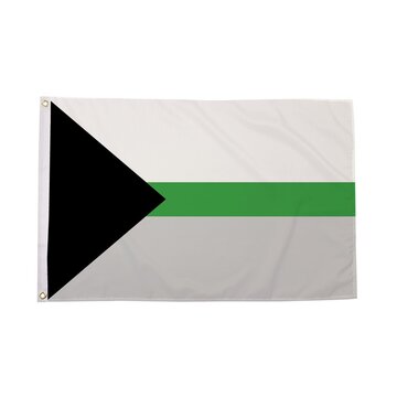 Demiromantic Flag