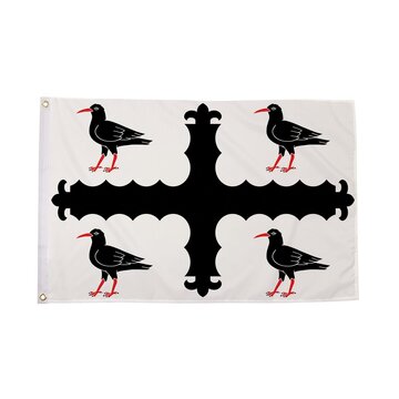 Flintshire Flag