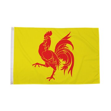 Walloon Flag