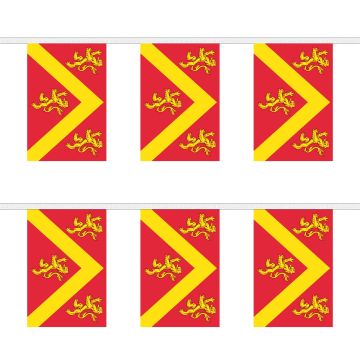 Anglesey Bunting