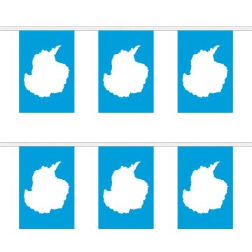 Antarctica Bunting