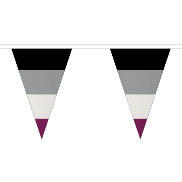 Asexual Small Triangle Bunting (5m Length) (2)