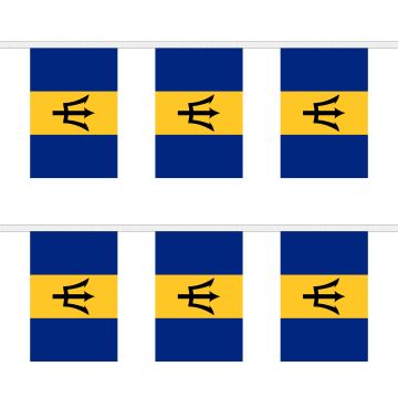 Barbados Bunting