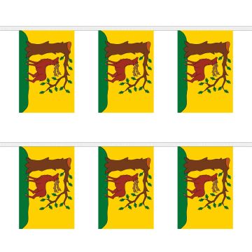 Berkshire New Bunting