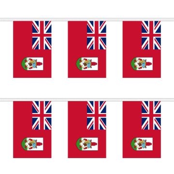 Bermuda Bunting