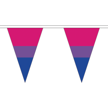 Bi-Pride Small Triangle Bunting (5m Length)