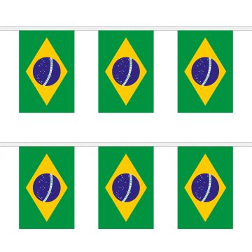 Brazil Bunting