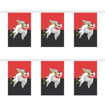 Buckinghamshire New Bunting
