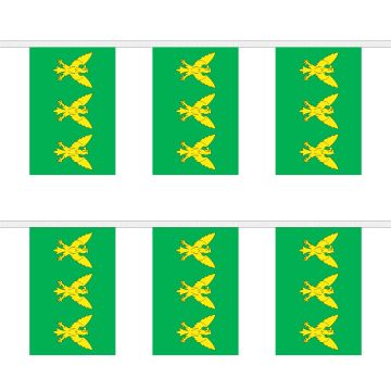 Caernarfonshire Bunting