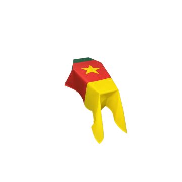 Cameroon Coffin Drape Flag