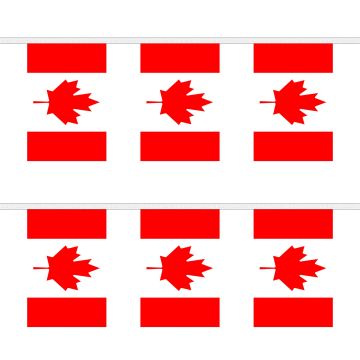 Canada Bunting