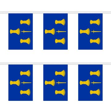 Cheshire Bunting