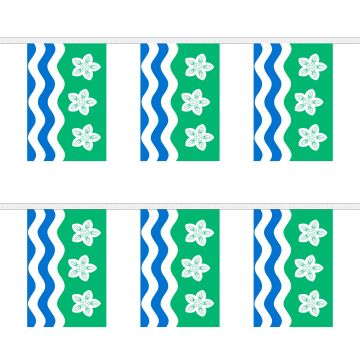 Cumberland Bunting