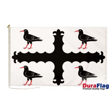 Flintshire DuraFlag