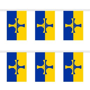Durham (County) New Bunting