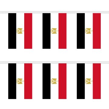 Egypt Bunting