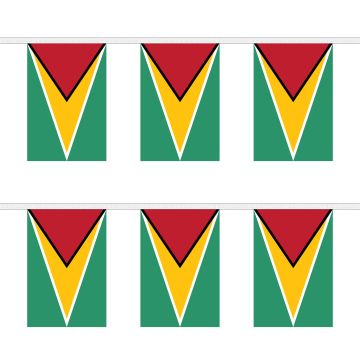 Guyana Bunting