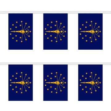 Indiana Bunting