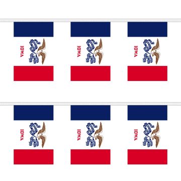 Iowa Bunting