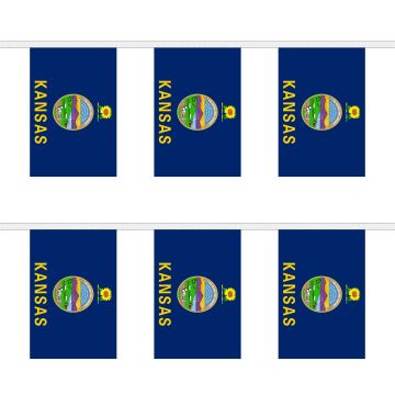 Kansas Bunting