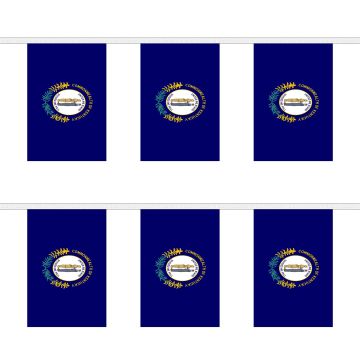 Kentucky Bunting