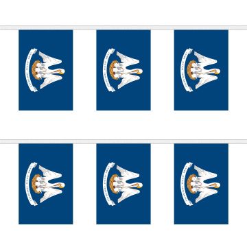 Louisiana Bunting