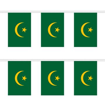 Mauritania Old Bunting
