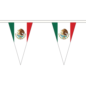 Mexico Small Triangle Bunting (5m Length)