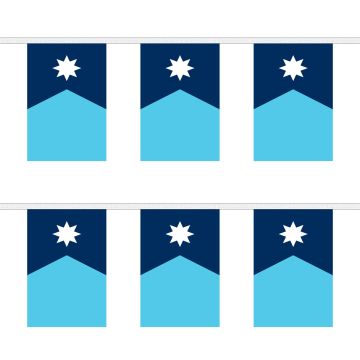 Minnesota Bunting