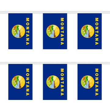 Montana Bunting