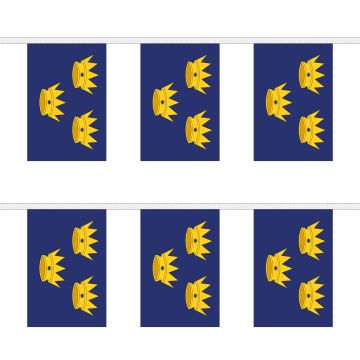 Munster Bunting