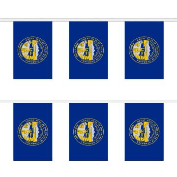 Nebraska Bunting