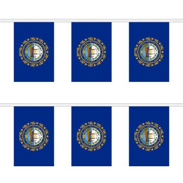 New Hampshire Bunting