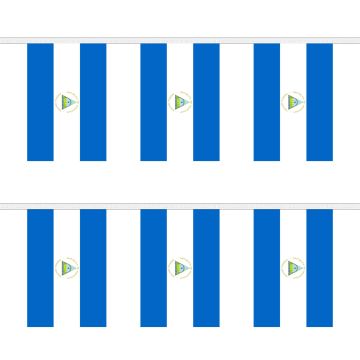 Nicaragua Bunting