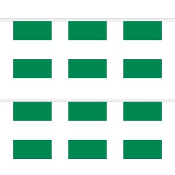 Nigeria Bunting