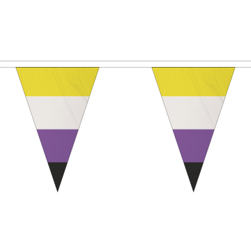 Non-Binary Small Triangle Bunting (5m Length) (2)