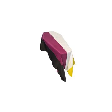 Non-Binary Coffin Drape Flag