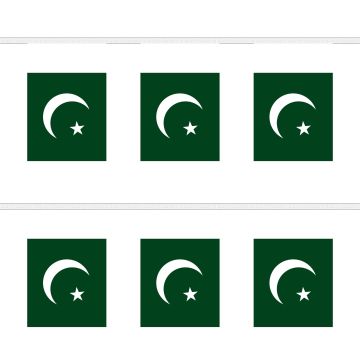 Pakistan Bunting