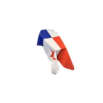Panama Coffin Drape Flag
