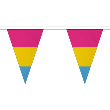 Pansexual Small Triangle Bunting (5m Length) (2)