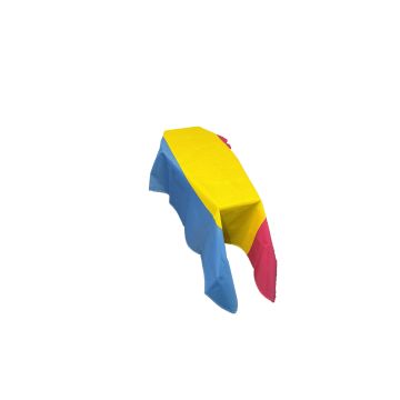 Pansexual Coffin Drape Flag