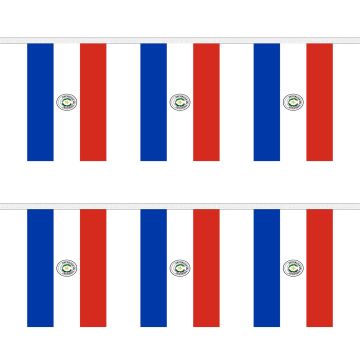 Paraguay Bunting
