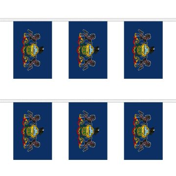 Pennsylvania Bunting