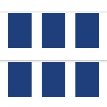 Plain Blue Bunting