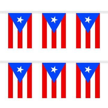 Puerto Rico Bunting