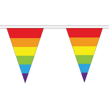 Rainbow Small Triangle Bunting (5m Length)